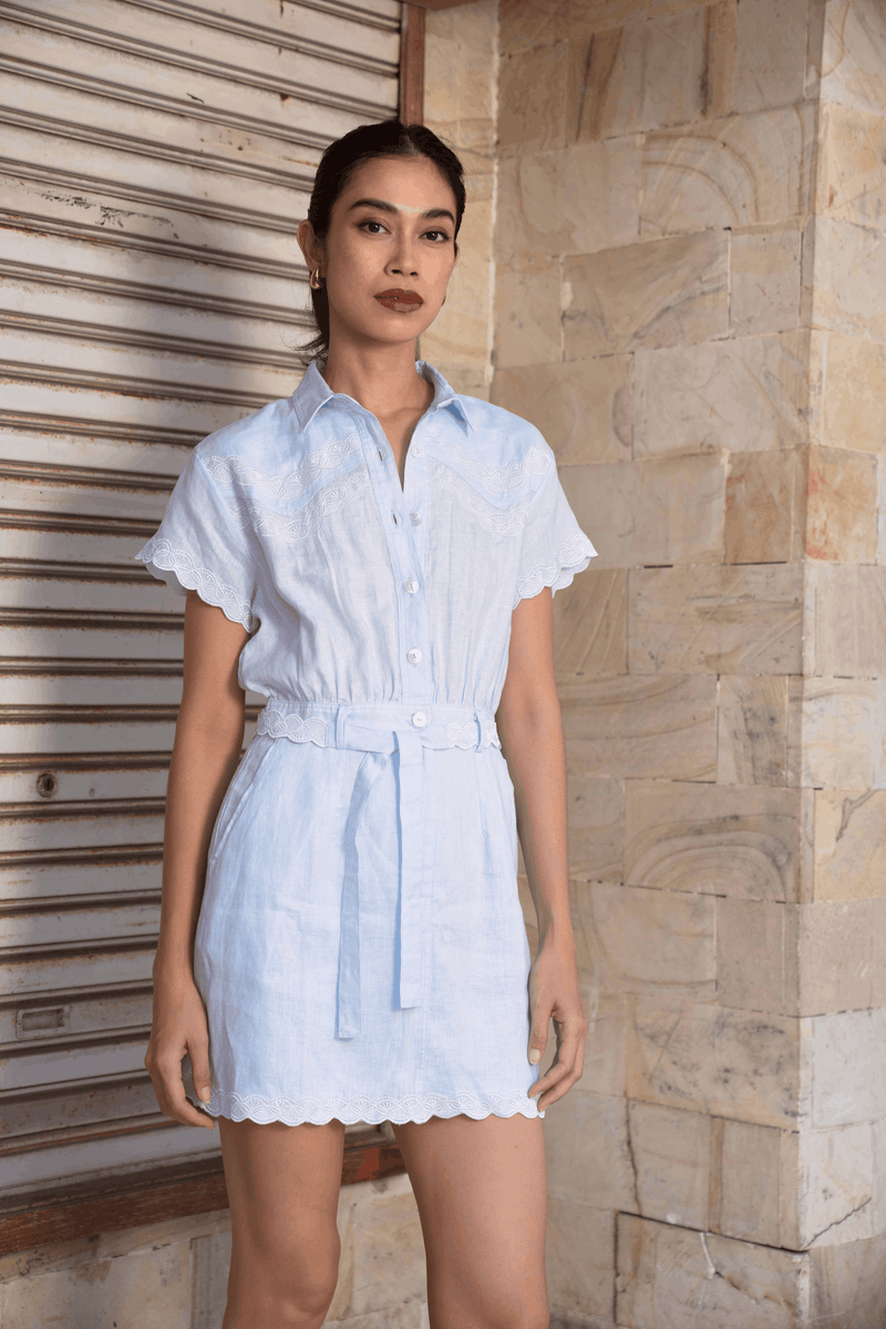 Haze Embroidered Dress